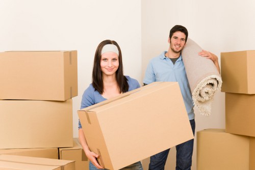 Room-by-room packing setup with labelled cartons